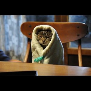 Meet your Posher, Hong